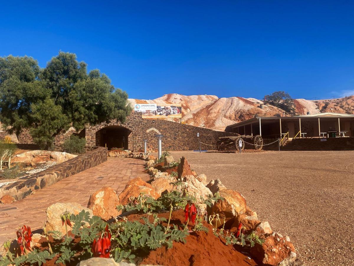 Ali'S Underground Home Coober Pedy Eksteriør billede